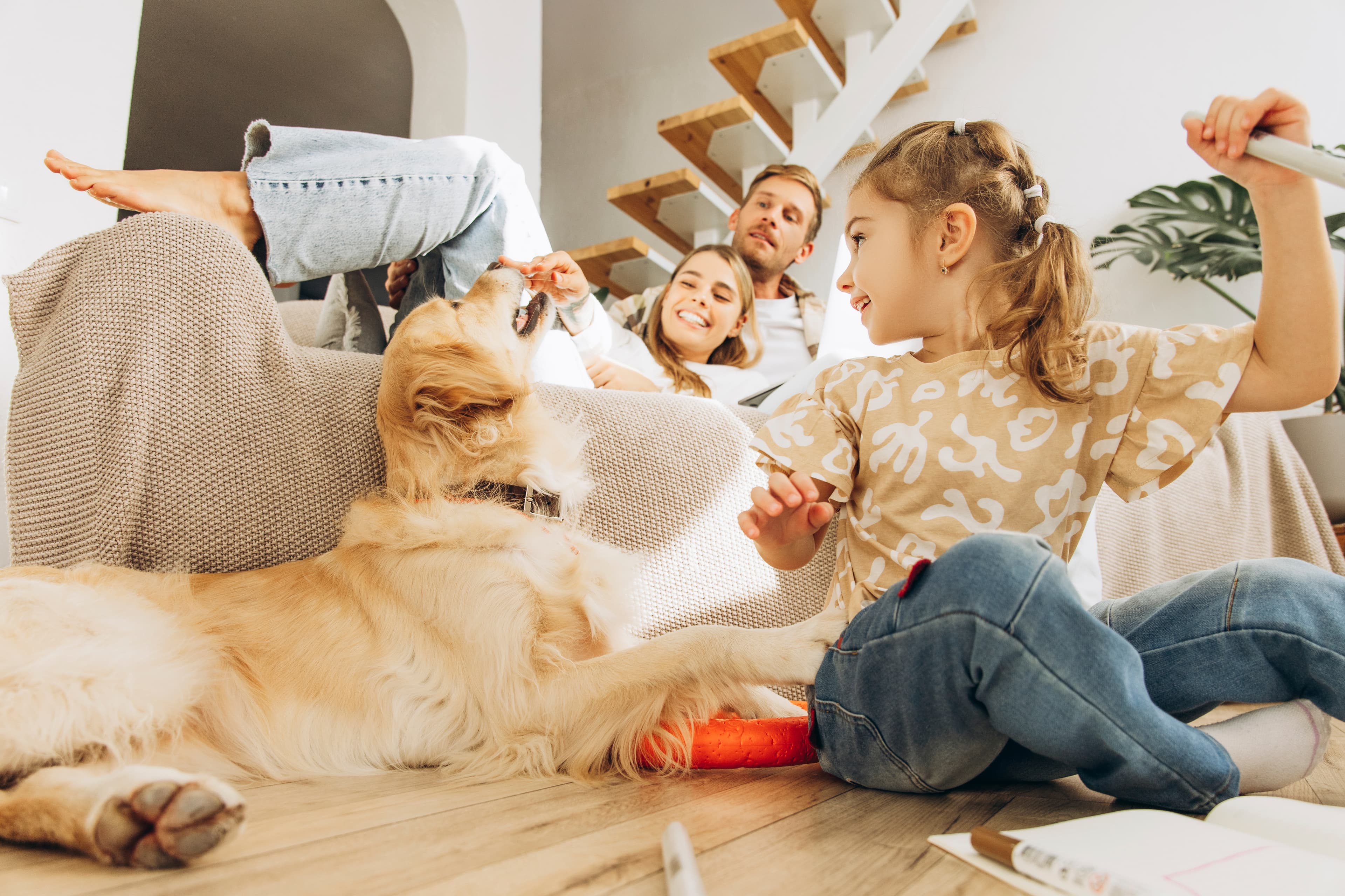 Woman reading book in a clean home